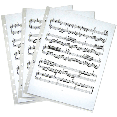 Image of Music Bumblebees Folder Non-Reflective 11-Hole Refill Insert