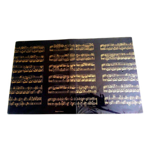 Music Bumblebees Music Folder A4 Clear Display Folder (40 pockets) - Music Score Black