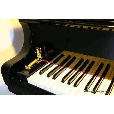 Image of Music Bumblebees Featured Products,Products,Music Gifts Piano Slow Fall Device (External)