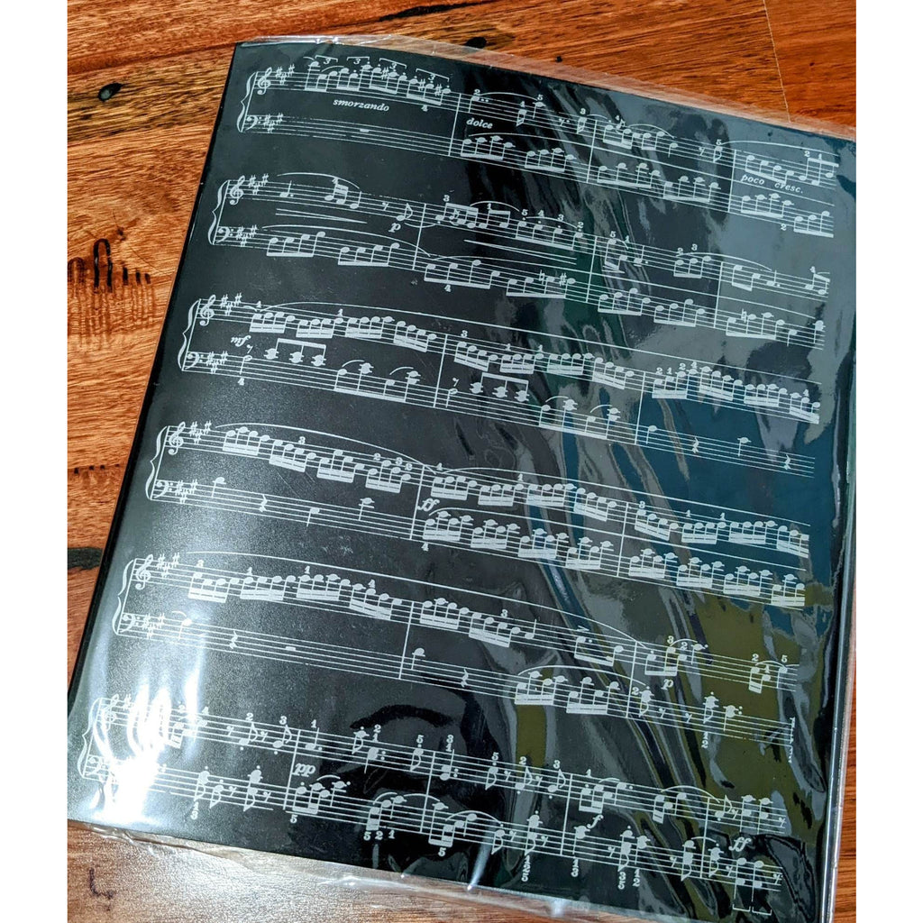 Music Bumblebees Folder Refillable Non-Reflective Music Folder - 24 Pockets
